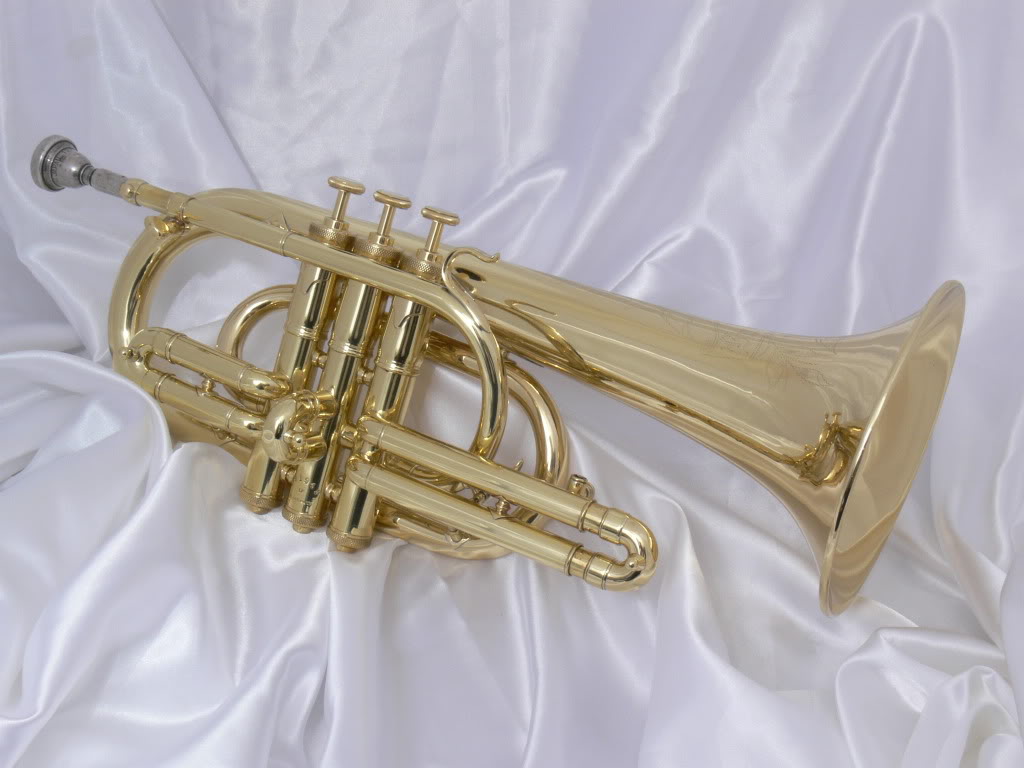 Bukhern Instrument Buescher Loyalist - Contact